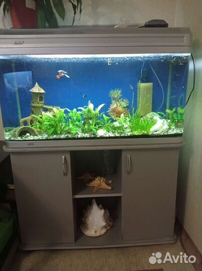 Аквариум с тумбой бу