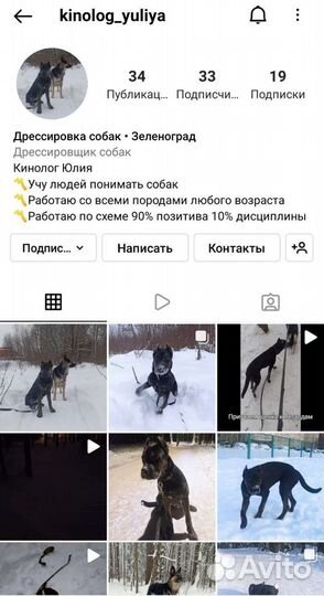 Кинолог. Дрессировка собак