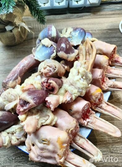 Гусь домашняя мясо