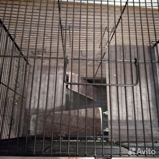 Клетка для шиншиллы бу
