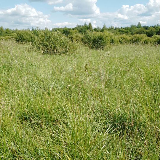 Участок 14,8 сот. (ИЖС)