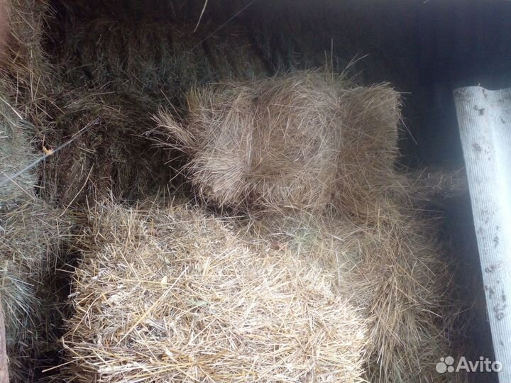 Сено в тюках