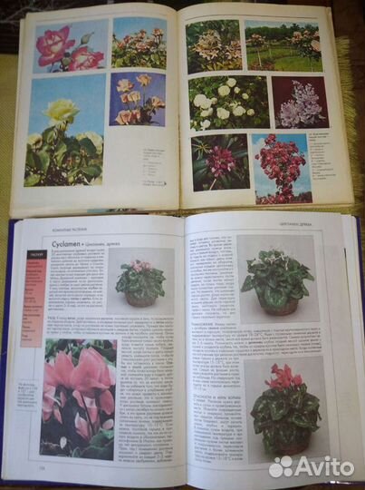 Книги по цветоводству
