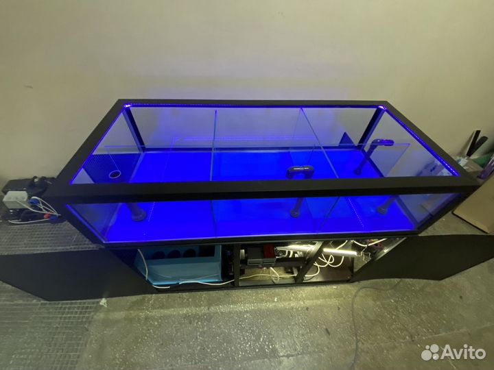 Аквариум узв передержка устриц краба морепродуктов