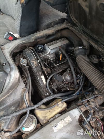 Тоунайс в полный разбор