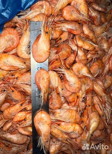 Креветка черноморская вареная
