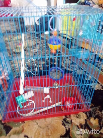 Клетка для попугая бу