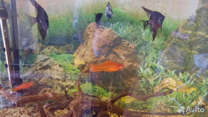 Аквариум с тумбой 180 литров