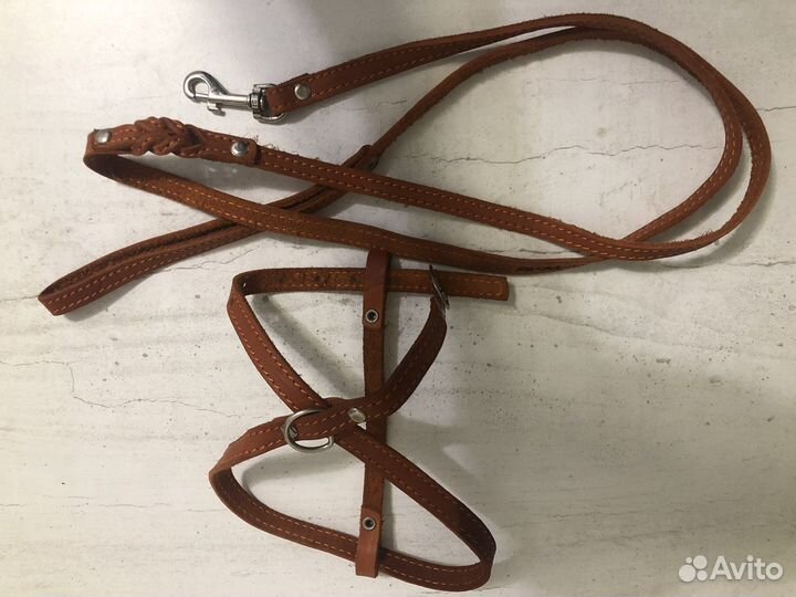 Шлейка для маленькой собаки