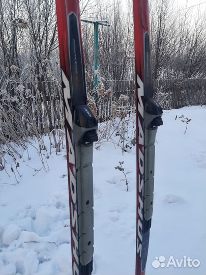 Лыжи беговые madshus, катался 1 год