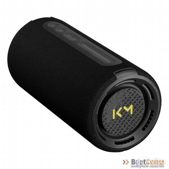 Портативная колонка Loewe WeHearPro black