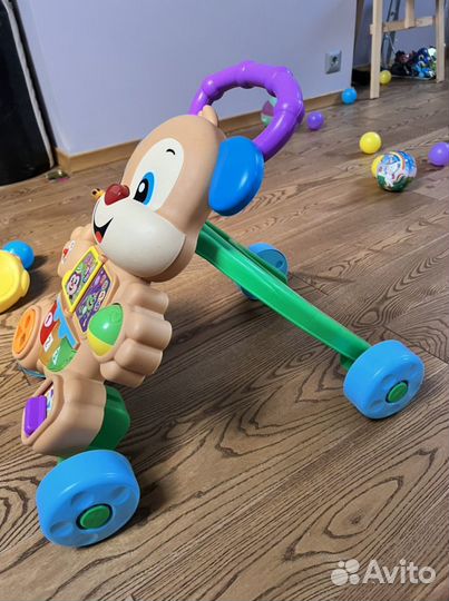 Каталка-ходунки Fisher-Price Ученый Щенок
