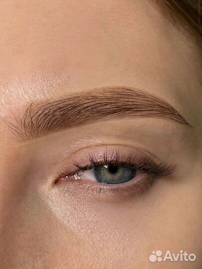 Мастер бровист