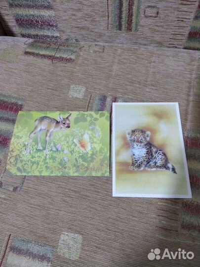 Художник А. Исаков. 1989год