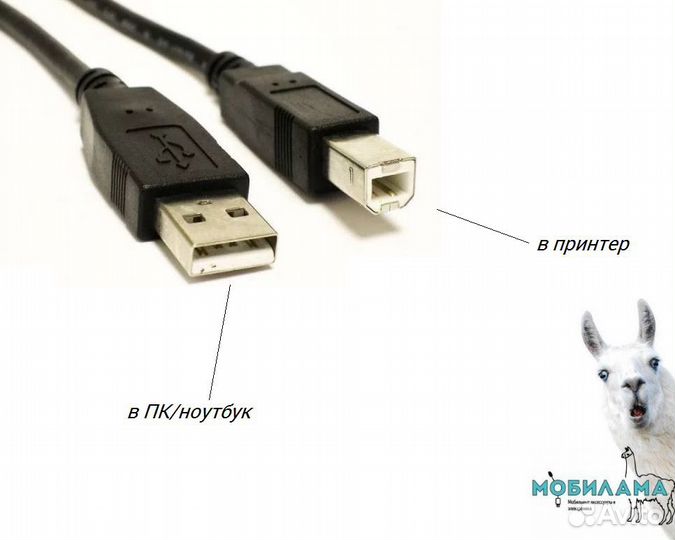 Кабели для принтера (для подключения) 1.5м и 3м
