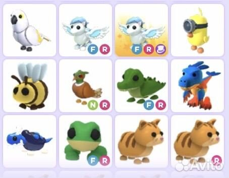 Петы адопт ми