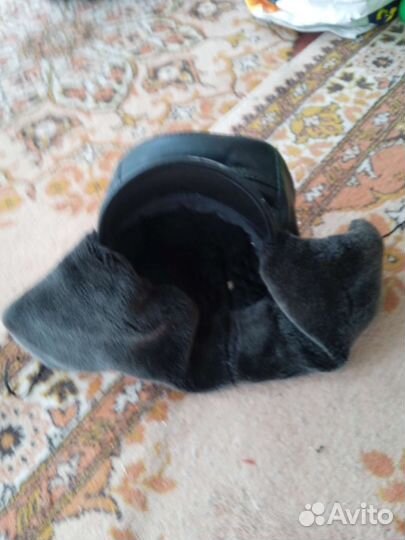 Мужская шапка