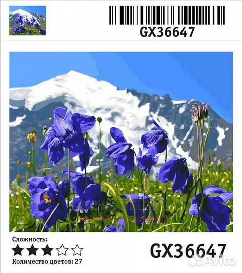 Картина по номерам 40x50 Круглолистый колокольчик