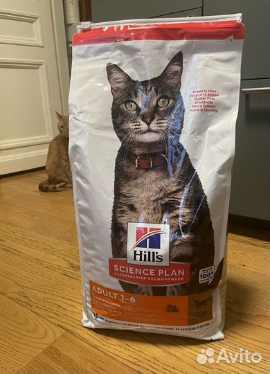 Корм для кошек hills