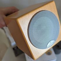 Monitor audio radius