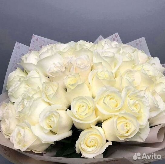 Высокие розы Гигантские Розы 150 160 170 180 190см