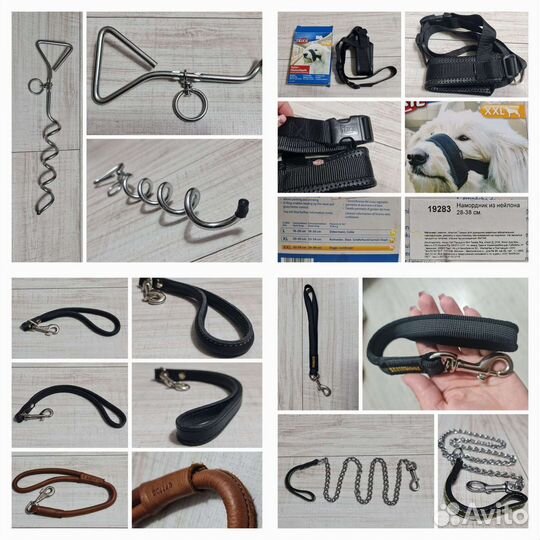 Амуниция для собак: ошейники намордники поводки