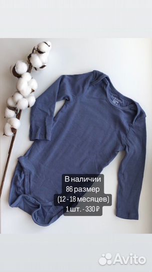 Боди