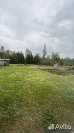 Скосить траву