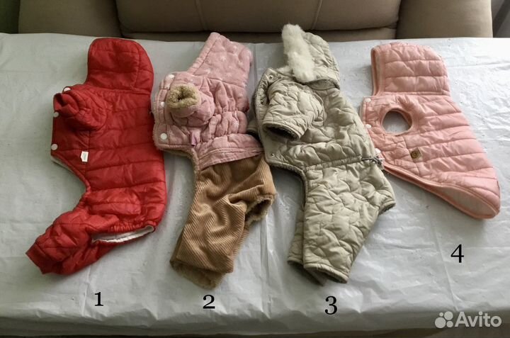 Комбинезон для маленькой собаки