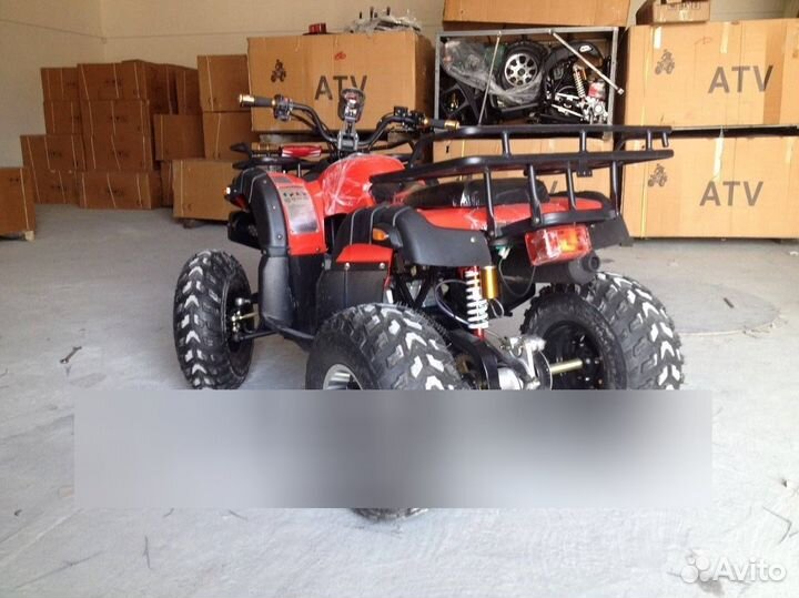 Grizzly 250cc
