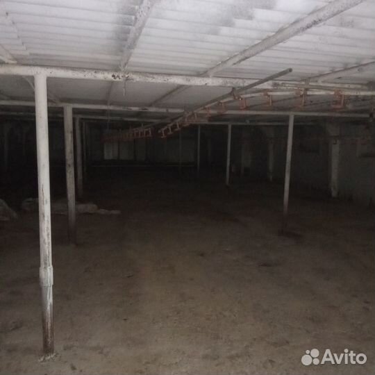 Ферма птичник