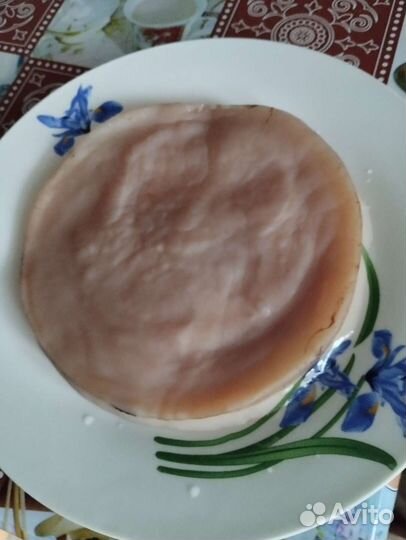 Чайный гриб комбуча