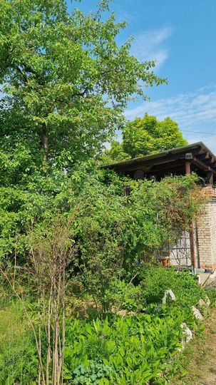 Дача 17 м² на участке 6 сот.