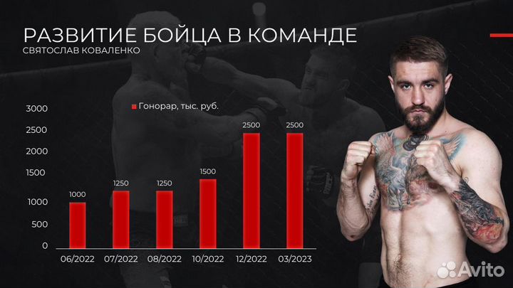Инвестиции в готовый бизнес pop mma, hardcore