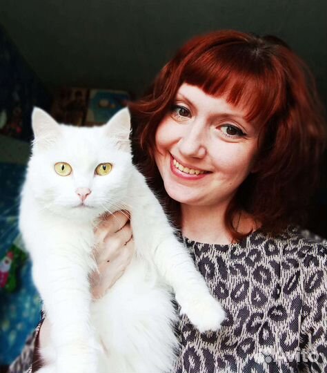 Собеседник друг на час