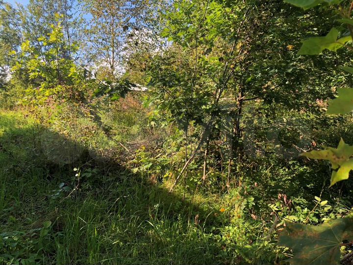 Участок 6 сот. (СНТ, ДНП)