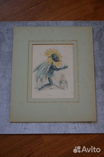 Антикварные гравюры