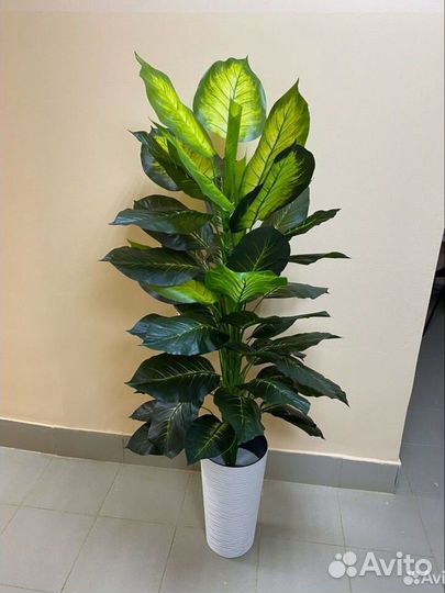 Диффенбахия Крупная цветок искусственный домой