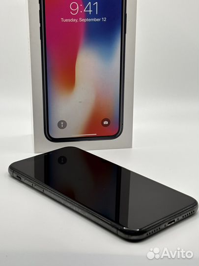 iPhone X, 256 ГБ