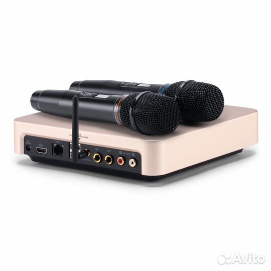 Караоке Evobox Plus Gold