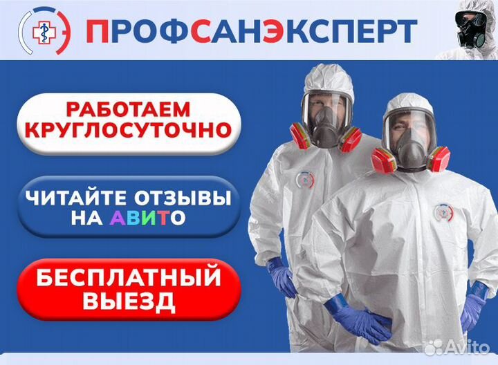 Дезинфекция клопов тараканов плесени запахов крыс