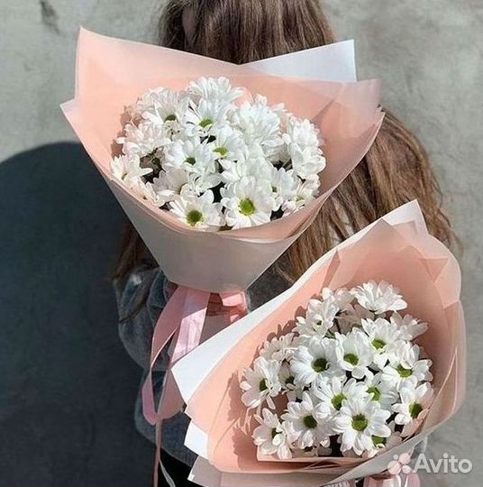 Хризантема