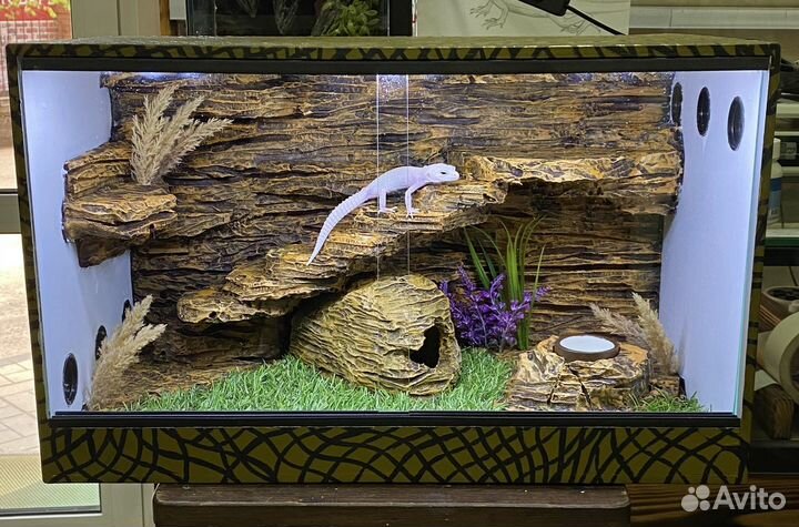 Террариум на заказ