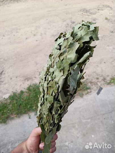 Веники для бани