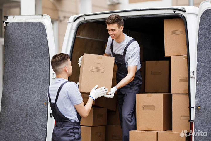 Грузчик на утро