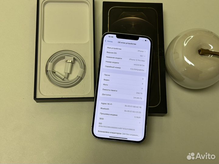 iPhone 12 Pro Max, 256 ГБ