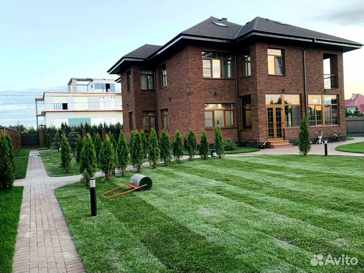 Рулонный газон