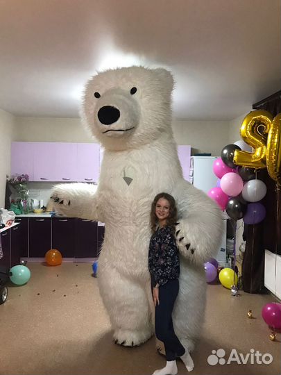 Поздравление от большого белого медведя/панды