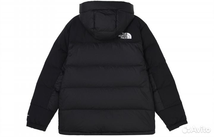 THE north face Down Jacket Men Black (L)(68)
