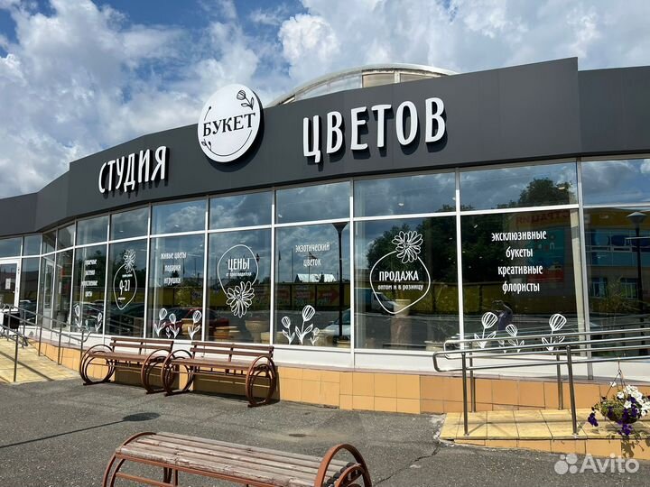 Драцена в наличии